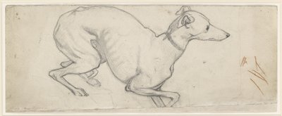 Study of a Greyhound by Ford Madox Brown